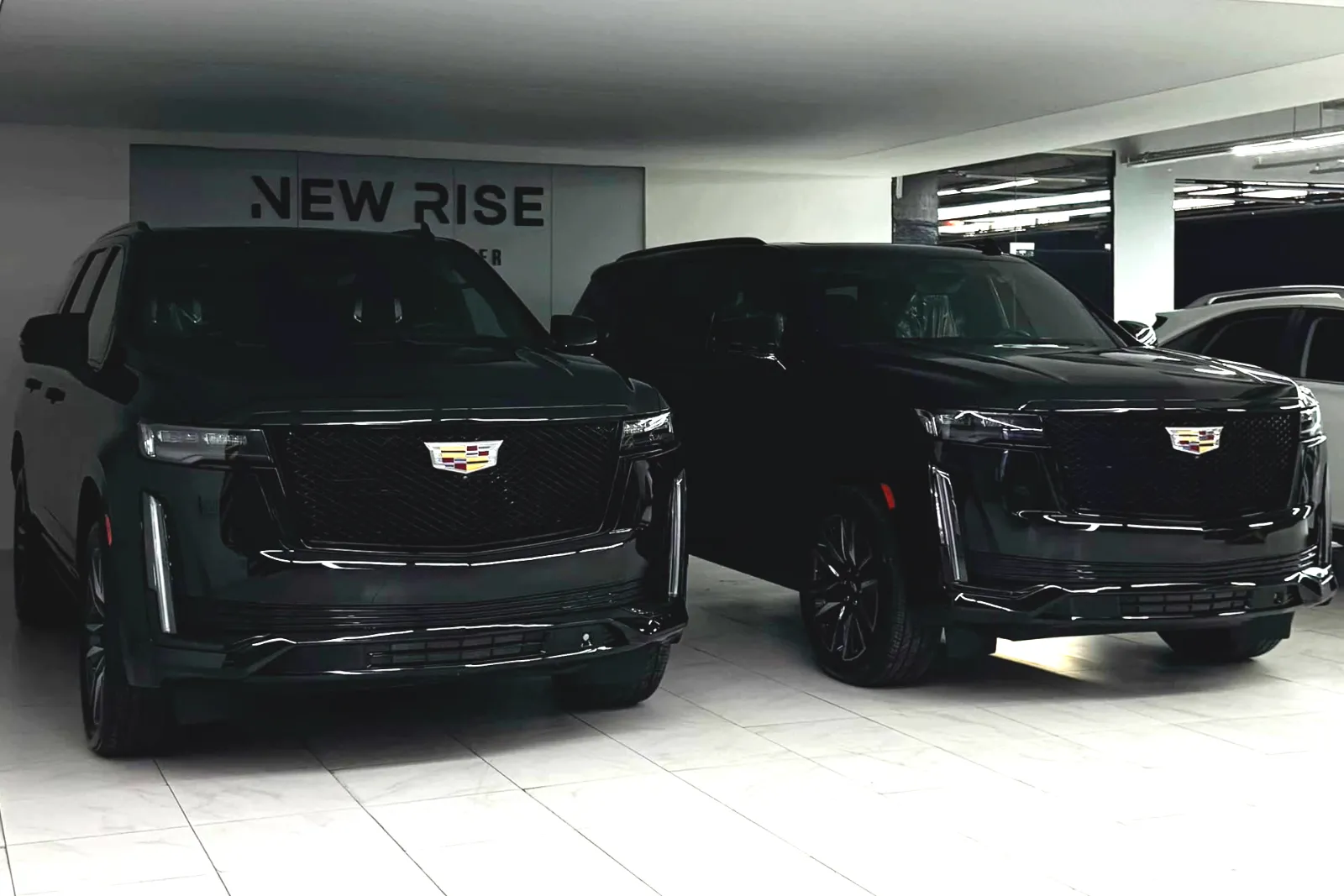 Why Choose CNSS Elite Chauffeur